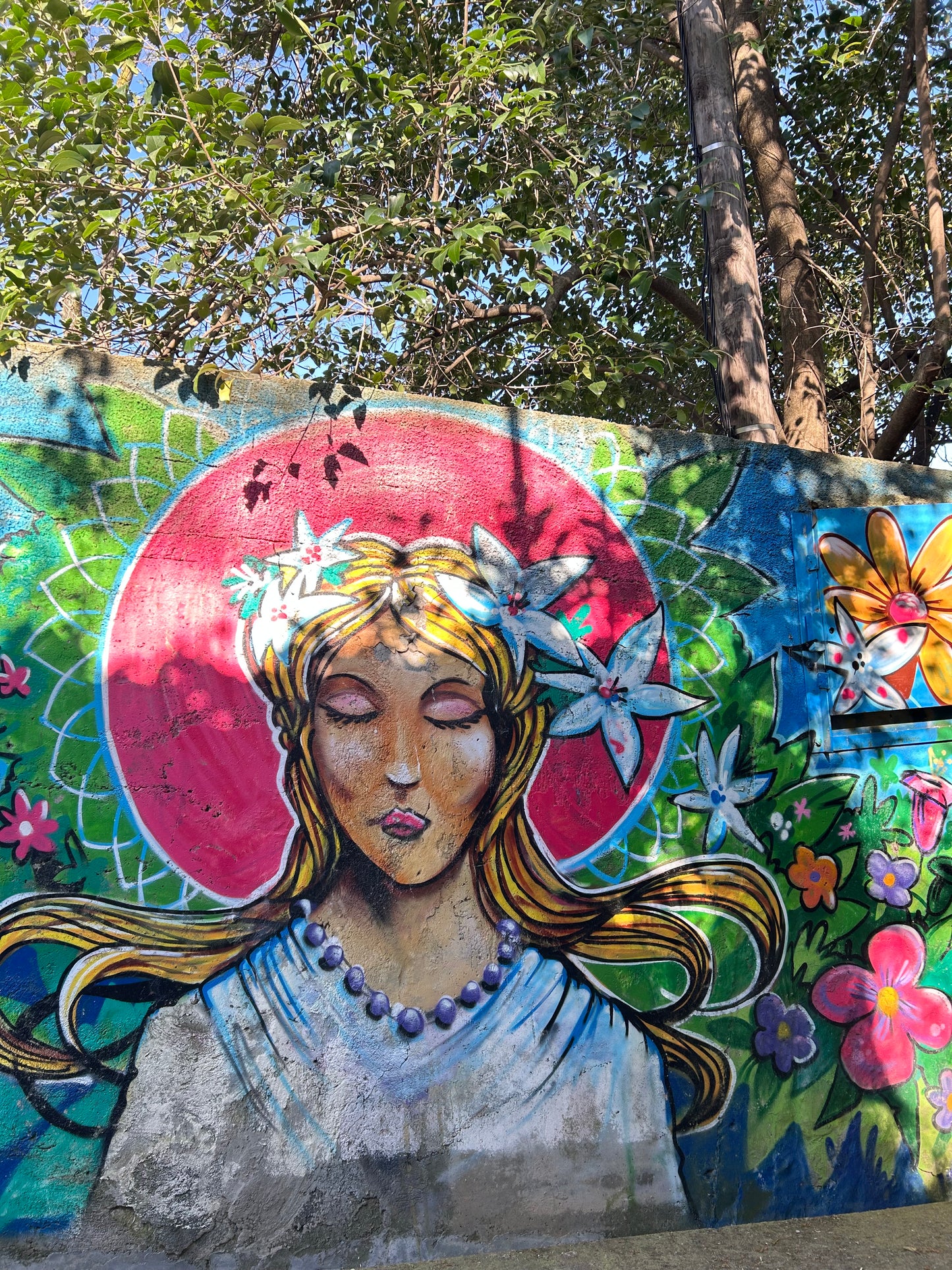 A beautiful slow-travel guide to Grasse 💜🌼🪻